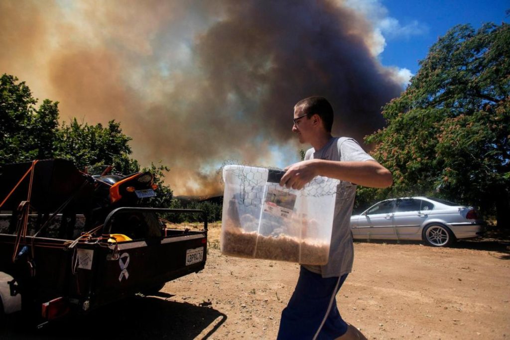 incendio 1024x683 1
