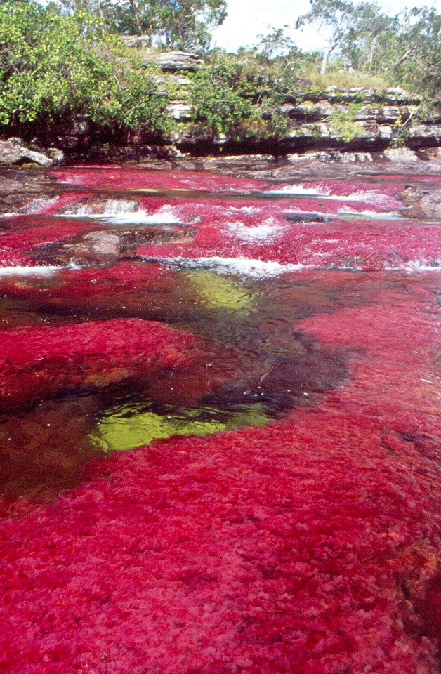 macarena cano cristales foto archivo de parques