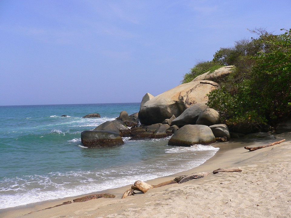 tayrona 126