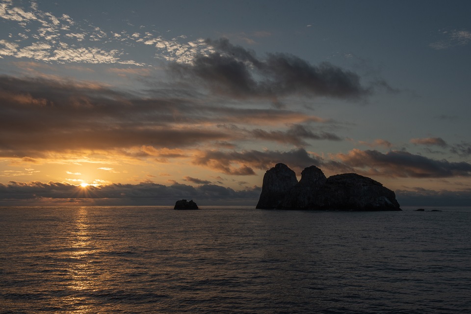 paolamariasanchezbio malpelo