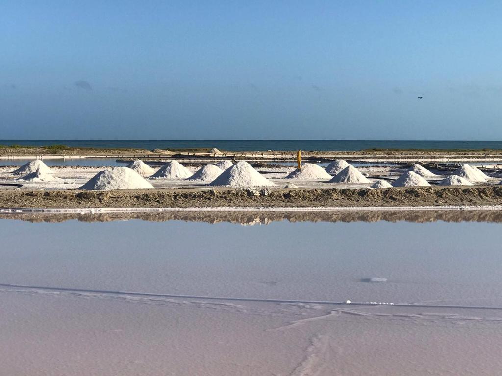 Capturan a cinco personas señalados de millonario robo a Salinas de Manaure 2 WhatsApp Image 2021 02 28 at 11.12.40 PM