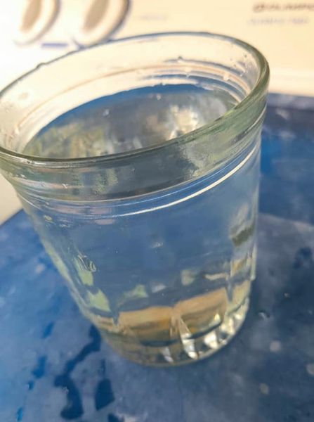 227894887 329704248878735 6704801483566935738 n 1