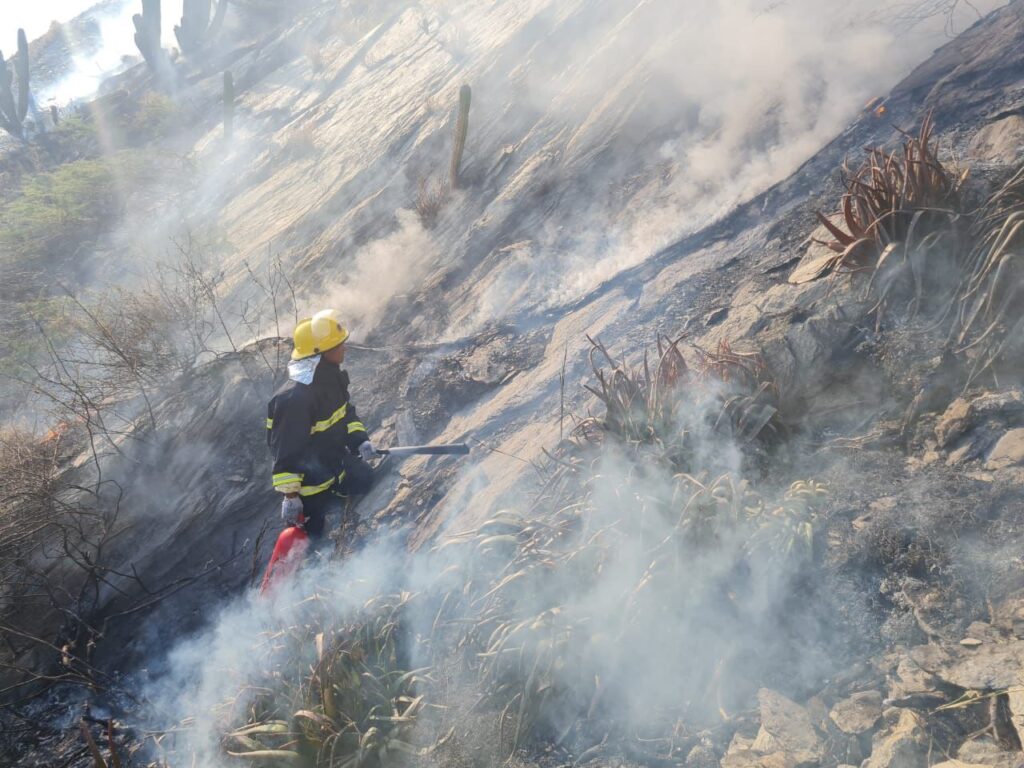 Armada de Colombia y Dimar lograron controlar incendio forestal en el sector de Isla Morro en Santa Marta
