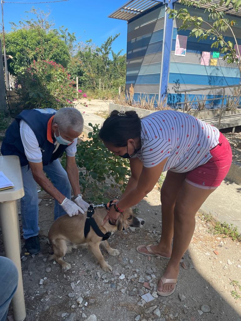 En lo corrido del 2022 Alcaldía de Santa Marta ha vacunado a 917 caninos y felinos contra la rabia 2 En lo corrido del 2022 Alcaldia de Santa Marta ha vacunado a 917 caninos y felinos contra la rabia 3