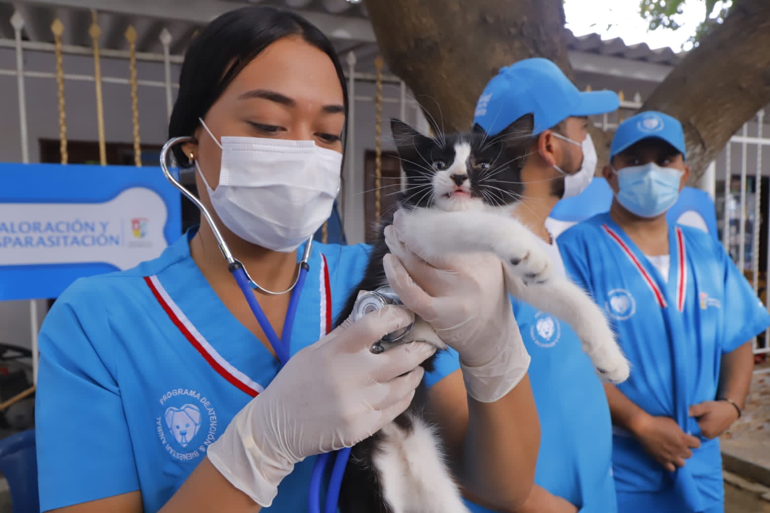 Más de 150 mascotas fueron atendidas en jornada de bienestar animal en Malambo 2 Jornada de bienestar animal en Malambo 3