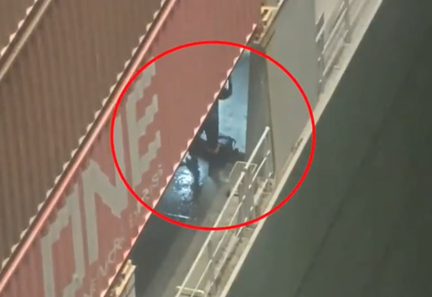 Judicializados presuntos integrantes de red narcotraficante señalada de ingresar tulas con cocaína al puerto de Buenaventura para enviarlas a México 1 whatsapp image 2022 08 23 at 8.46.19 am