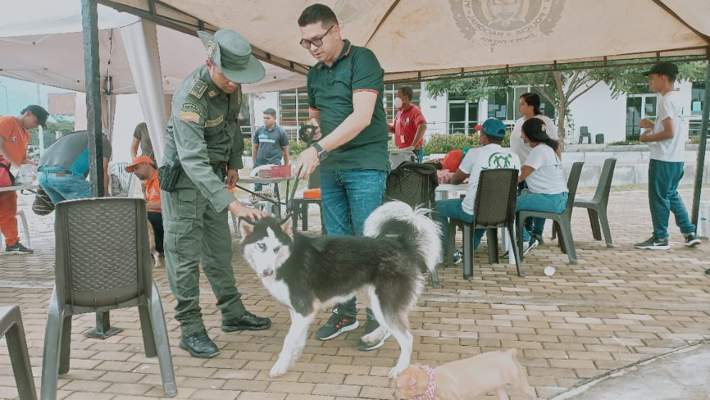 Policia Metropolitana de Santa Marta realizo jornada de atencion y vacunacion en animales 2