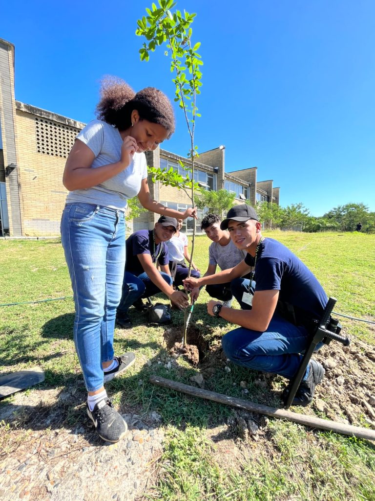 Por cuarto año consecutivo, Barranquilla en listado de ciudades que mejor administran su sistema forestal 7 2eb46cf6 23a9 4dee ac2b 41907e3398e5