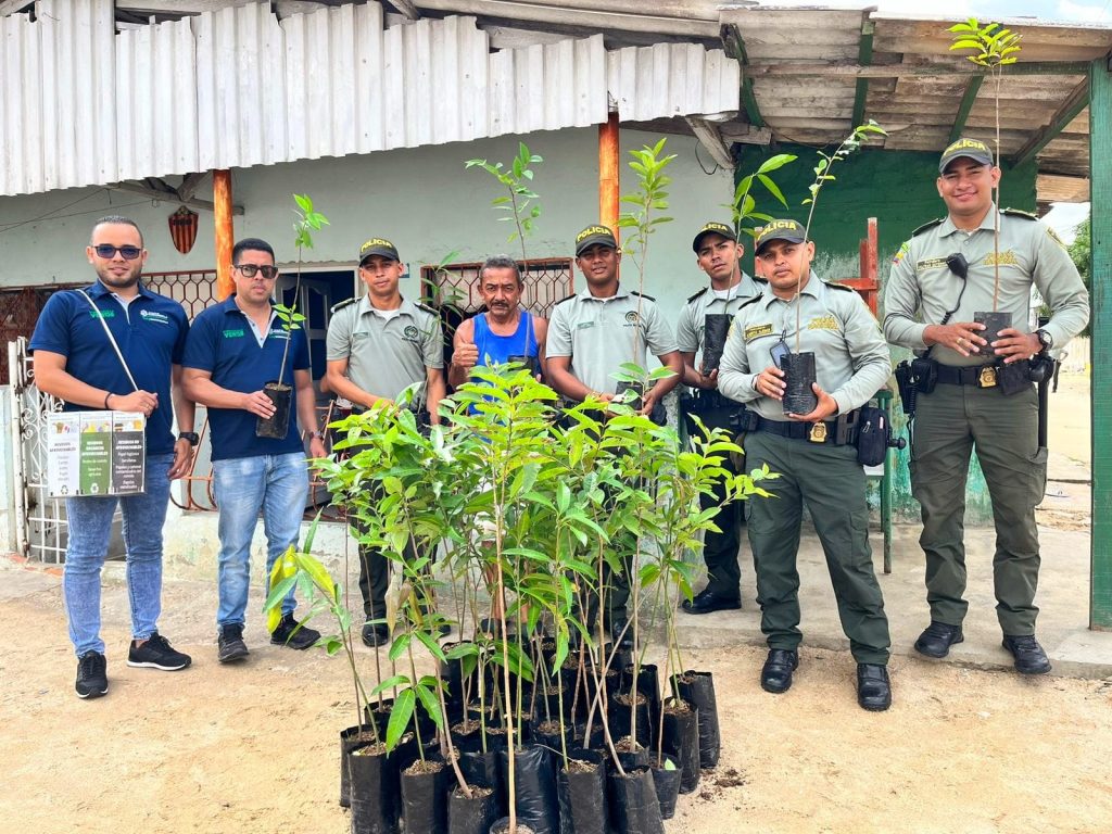 Por cuarto año consecutivo, Barranquilla en listado de ciudades que mejor administran su sistema forestal 4 c16c2f31 dd39 4d24 8829 6a12d0acb690