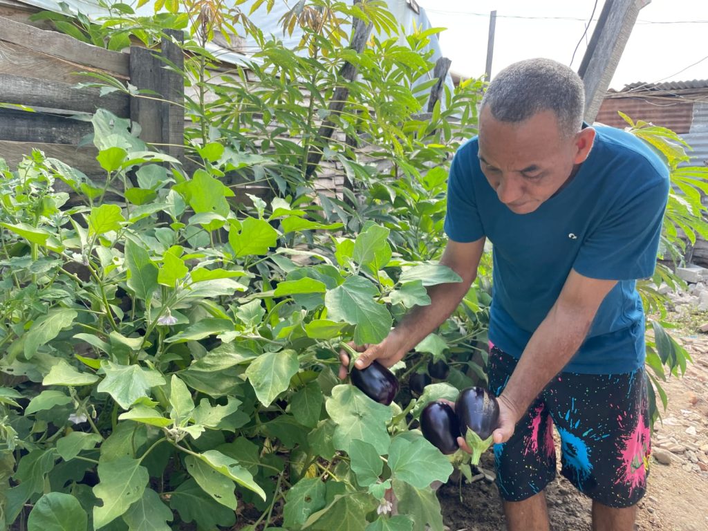 Por cuarto año consecutivo, Barranquilla en listado de ciudades que mejor administran su sistema forestal 2 d6667d41 1296 4b64 afd0 f1d082cc84fa