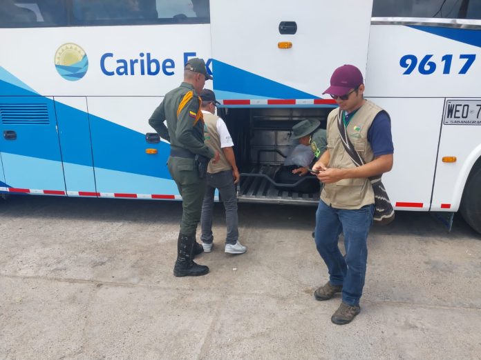 Planes contra tráfico de fauna y flora implementan en La Guajira 1 gh
