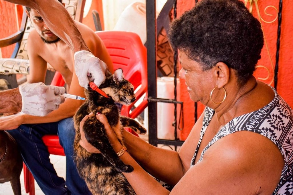 Gracias al programa ´Alcaldía en la calle´, adulta mayor logró vacunar a sus siete gatos 1 Gracias al programa ´Alcaldia en la calle´ adulta mayor logro vacunar a sus siete gatos