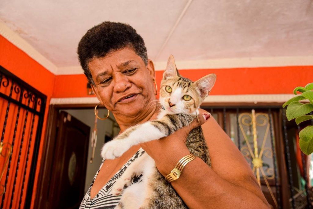 Gracias al programa ´Alcaldía en la calle´, adulta mayor logró vacunar a sus siete gatos 2 Gracias al programa ´Alcaldia en la calle´ adulta mayor logro vacunar a sus siete gatos 2