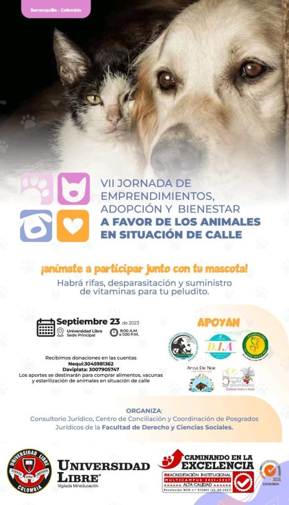 VII Jornada de Emprendimientos, Adopción y Bienestar a favor de los animales en situación de calle 1 561aa50b 9db7 432f 892c b5590d5528b4