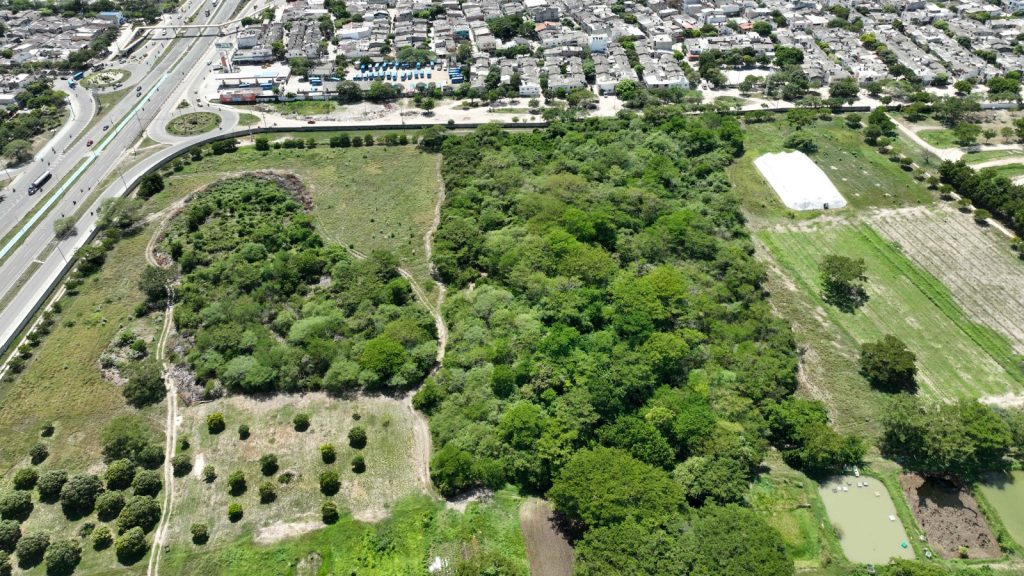 La biodiversidad se convierte en protagonista en el corazón de Santa Marta 1 12b68d3a fada 4874 bc56 31082396a79e