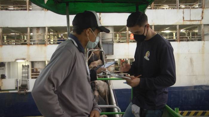 FEDEGÁN alerta por el impacto negativo que generará resolución del ICA sobre exportación de ganado en pie 1 WhatsApp Image 2024 02 21 at 1.12.55 PM 1