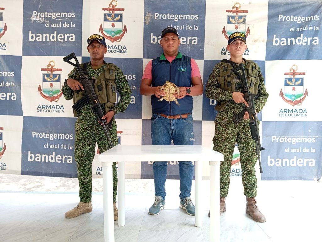ARMADA DE COLOMBIA RECUPERA Y LIBERA 66 ESPECIES DE FAUNA SILVESTRE 3 Imagen de WhatsApp 2024 03 28 a las 18.38.02 b9ef9537