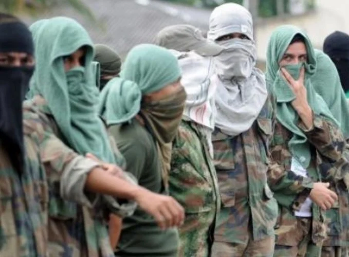 “Turismo en la Mira: El Aumento de Precios y el Terror Paramilitar en Santa Marta” 2 paracos 1