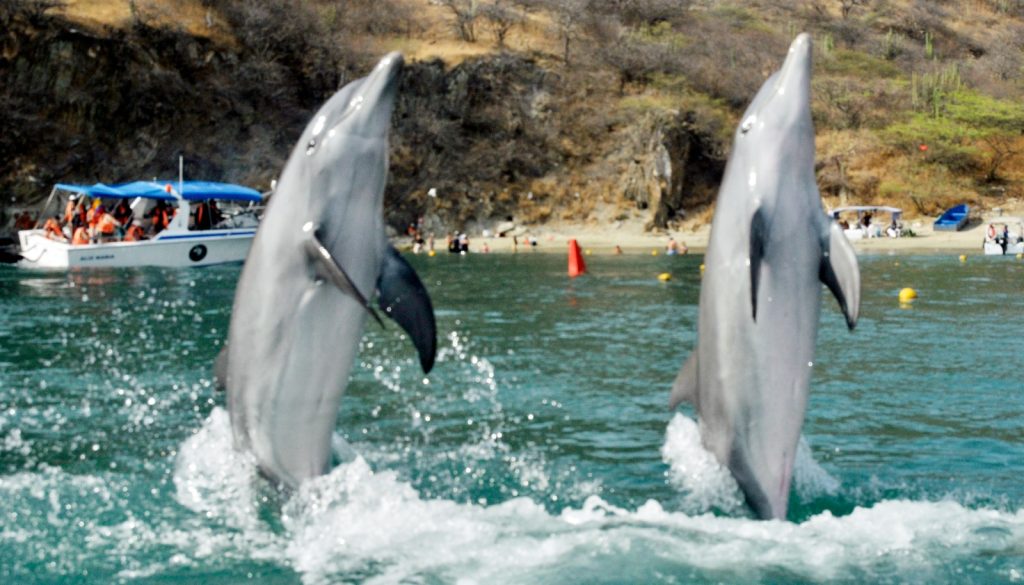 Turismo afectado en Santa Marta: Semana Mayor estuvo llena de bloqueos, ventas informales y escasez de agua, lo que amenazó la experiencia de visitantes 3 Semana Santa en Santa Marta 2023 4