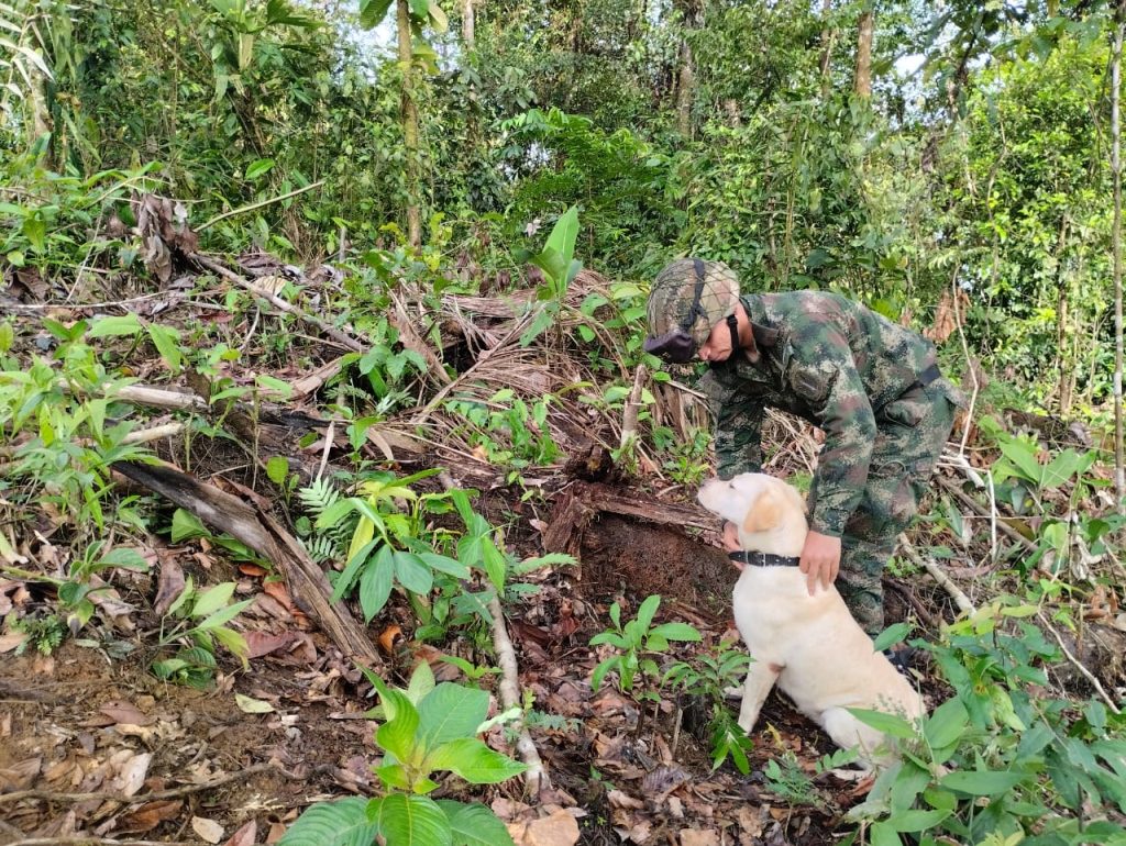 Destruyen dos artefactos explosivos improvisados en comunidad indígena del Chocó 2 b08f11dd 7d8c 411b 8b66 8a3e102bd973