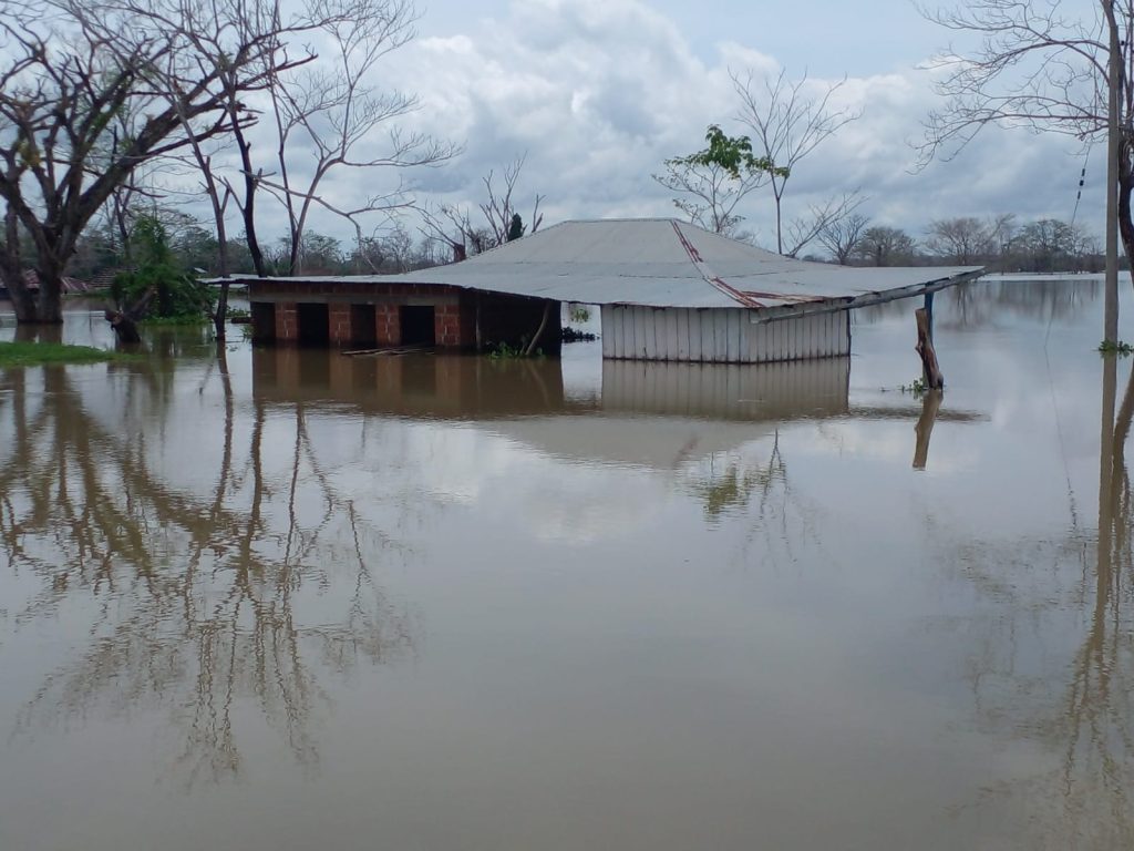 Fedegan se pronuncia sobre la grave situación de La Mojana 10 29333cc1 7ec7 4414 babb 1fb9efb20ddc
