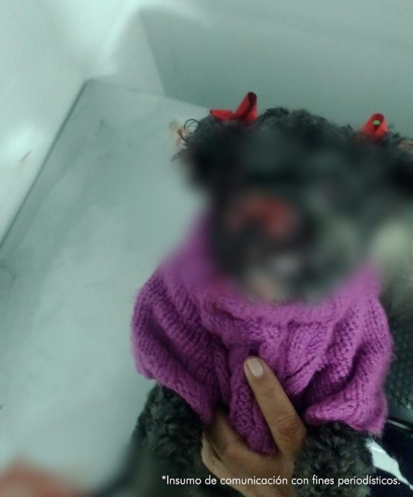 A la cárcel hombre que habría maltratado a su pareja y causado la muerte a su animal de compañía 2 760ef855 6a85 4610 b2d8 20a6e7853594