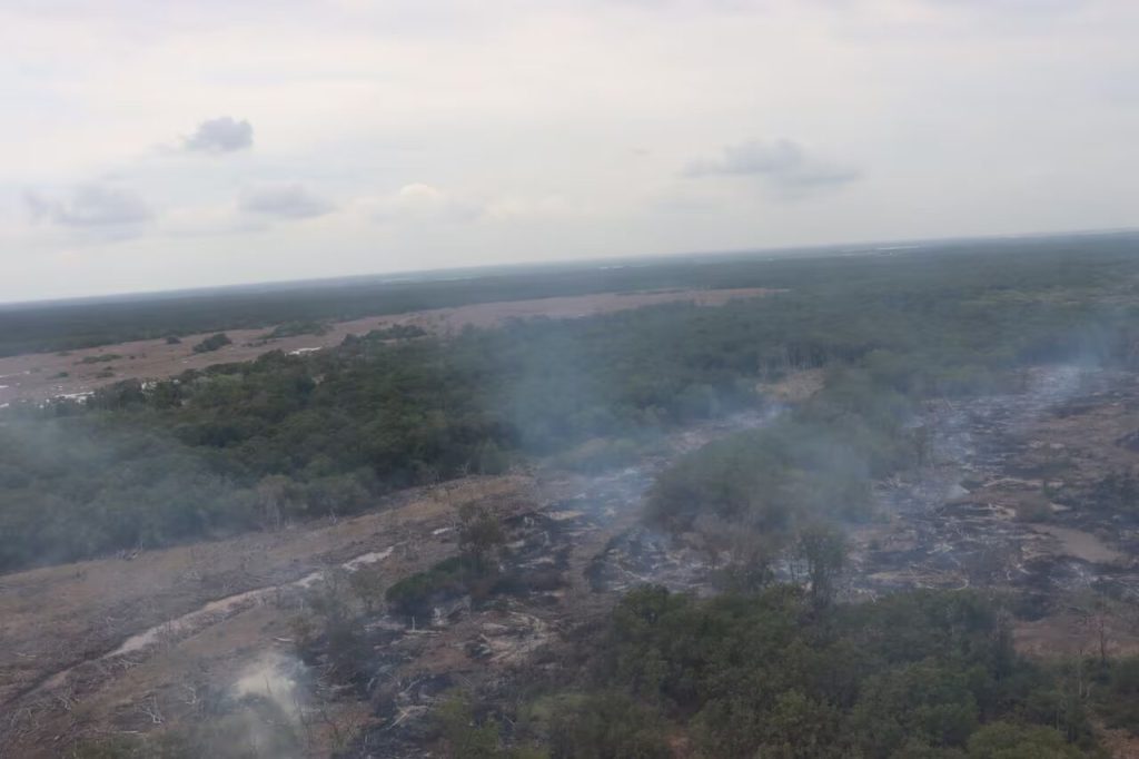 Incendios en Parque Isla Salamanca