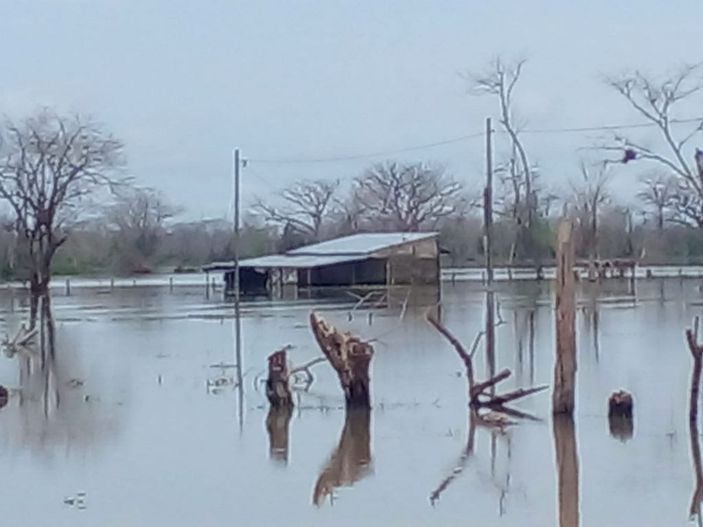 Fedegan se pronuncia sobre la grave situación de La Mojana 6 a33d7e38 0d7f 48f0 8bce 48a91b421e71