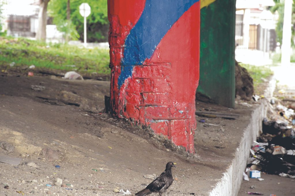 El abandono, la plaga que carcome los puentes de la ciudad 7 965547dd 4d29 4ba9 abbe 952b093b0821