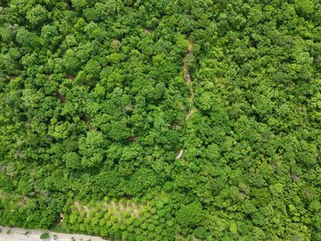 Alcalde de Barranquilla anuncia reactivación de obras en el Bosque Urbano de Miramar 2 GRVcfn