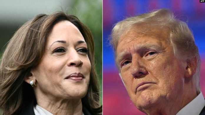Trump y Harris intercambian insultos en la campaña presidencial de EEUU