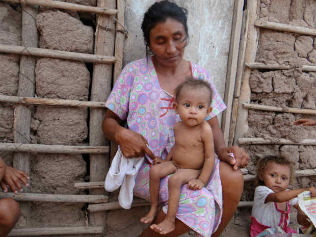 Wayuu 2