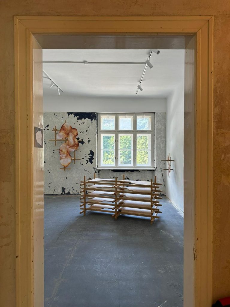 Artista barranquillero Carlos Vergara Labarrera exhibe en Austria 2 da44a407 fb3c 453f 914a 07acfe4a6762 768x1024 1