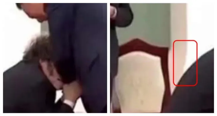 detalles de la imagen falsa de milei
