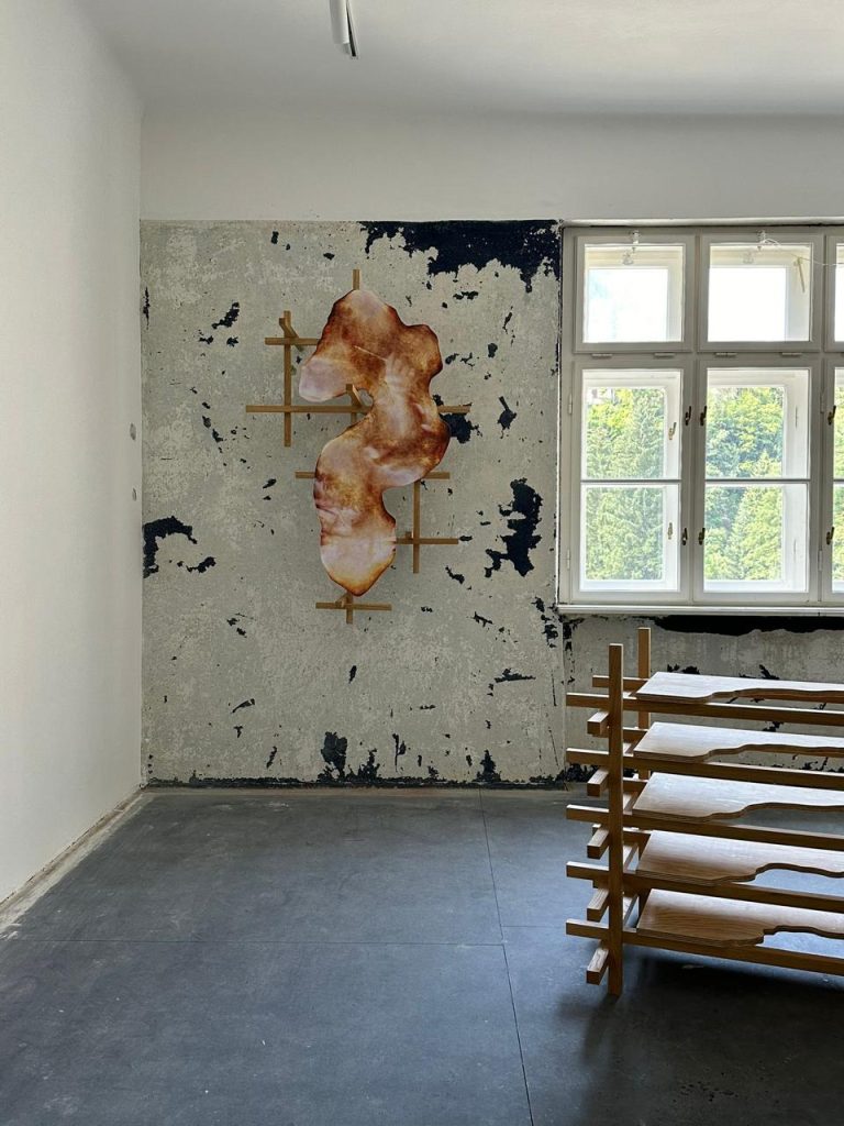 Artista barranquillero Carlos Vergara Labarrera exhibe en Austria 4 f3a61798 0ee7 43e1 a9cd 7a110de69244 768x1024 1