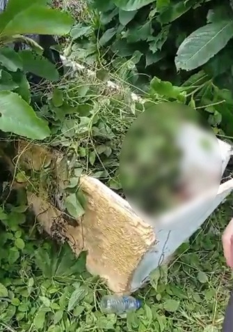 Hallan a sin vida a hombre dentro de una nevera en zona enmontada en Soledad 1 1 2