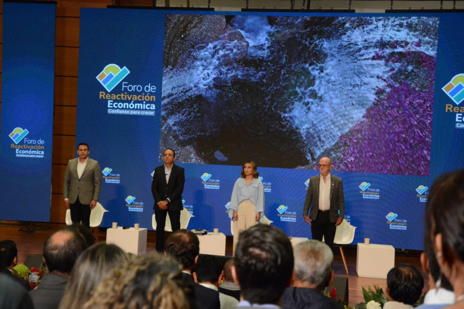 Gobierno Nacional presentará plan de reactivación económica en seis semanas con enfoque en sectores clave 1 FORO
