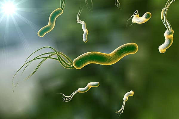 Helicobacter pyloriEl enemigo que se esconde en tu sistema digestivo 1 IMG 20240802 WA0096