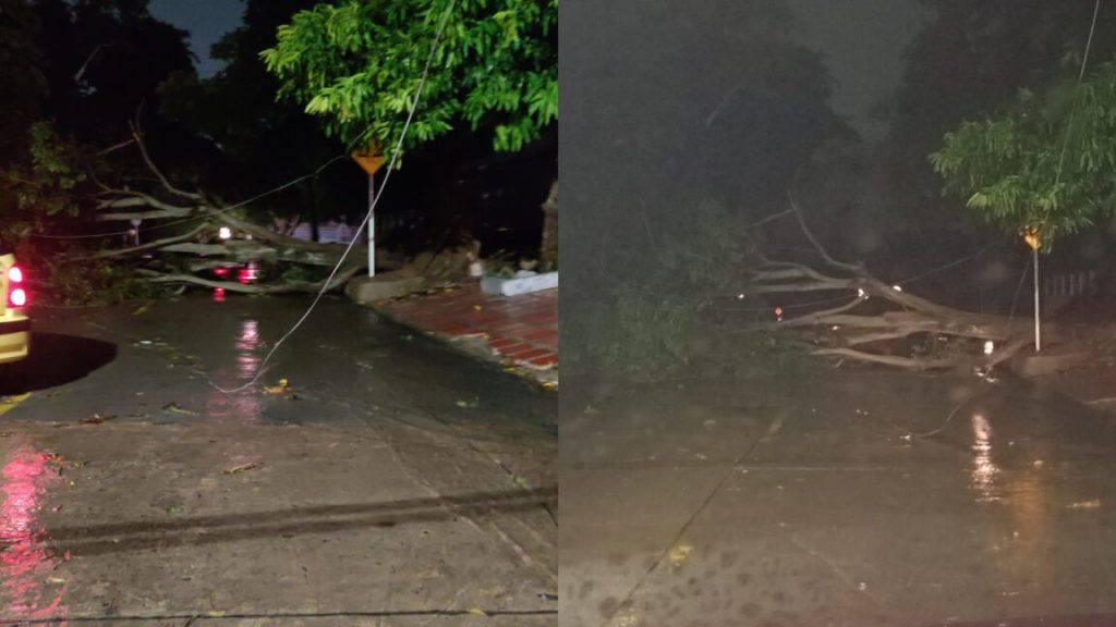 Distrito atiende emergencias ocasionadas por lluvia y fuertes vientos 1 PhotoCollage 20240917 061526869 1152x648 1