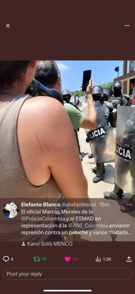 "Aquí no hay violencia": Comunidad que realiza protesta pacífica en Papiros nuevamente víctima de la fuerza pública 2 WhatsApp Image 2024 09 16 at 12.32.10 PM