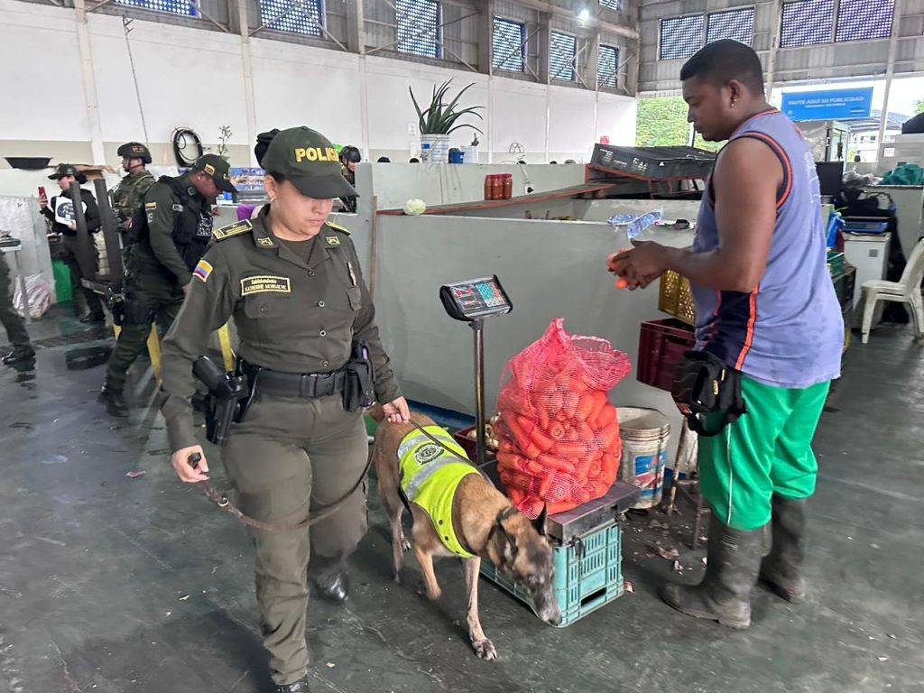 Balance de seguridad en Santa Marta: 40 capturas y más de 1.500 gramos de estupefacientes incautados 2 709ef7c7 169a 4854 9db0 f8240401b78f 1024x768 1