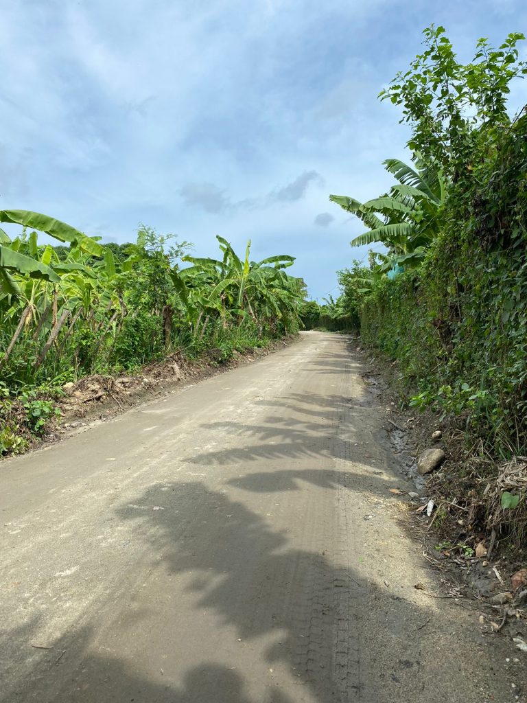 Con Maquinaria Amarilla, en menos de 100 días, Gobernación del Magdalena logra intervenir más 254 kilómetros de vías terciarias en 8 municipios y el Distrito de Santa Marta 7 8dc13a2e 0758 4470 b6c0 00f6d906e0ce