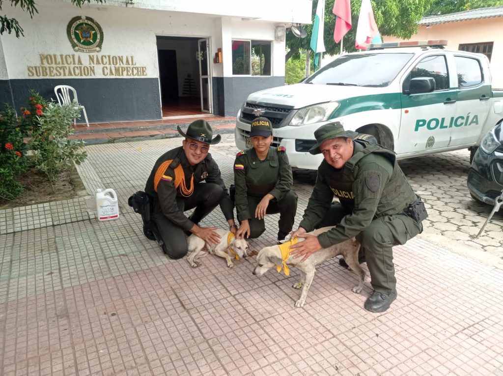 La Policía Nacional exalta y agradece la compañía incondicional de los caninos en condición de calle 3 8e037e7c ae2b 428f 9386 cd5b23047715