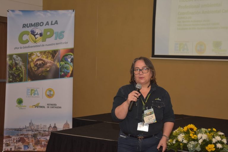 Camino a la COP16: El Caribe se une por la conservación de su riqueza natural 1 Camino a la COP16 El Caribe se une por la conservacion de su riqueza natural 2