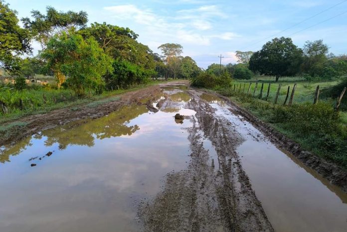 Una total trocha la vía olvidada por las autoridades de Zapayán, Magdalena 1 FB IMG 1729728862064 696x466 1