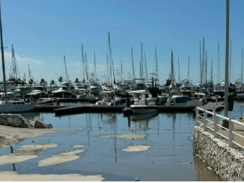 Bacterias en playas de Santa Marta: Un problema de salud pública y ambiental 1 FOTO DESTACADA 2