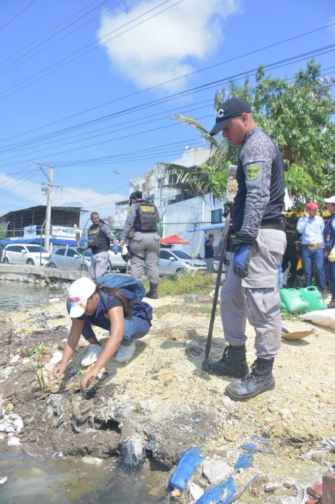 Continúa el plan de recuperación de orillas de Ciénaga de Las Quintas en Cartagena 6 IMG 20241017 WA0035