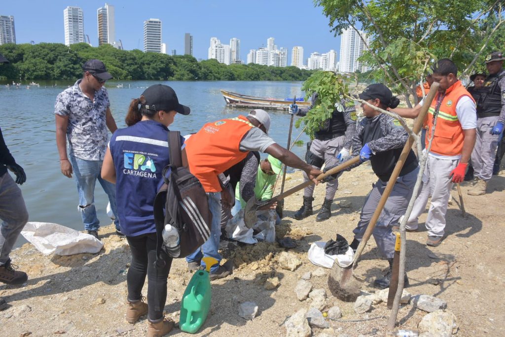 Continúa el plan de recuperación de orillas de Ciénaga de Las Quintas en Cartagena 7 IMG 20241017 WA0036