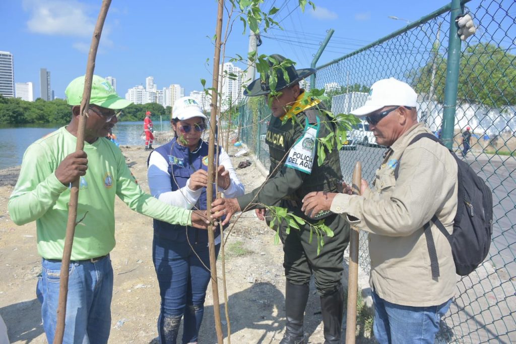 Continúa el plan de recuperación de orillas de Ciénaga de Las Quintas en Cartagena 2 IMG 20241017 WA0037