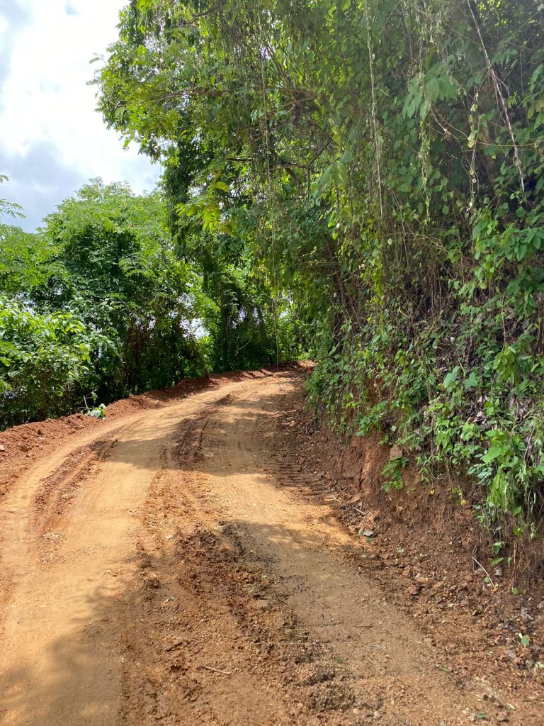 Con Maquinaria Amarilla, en menos de 100 días, Gobernación del Magdalena logra intervenir más 254 kilómetros de vías terciarias en 8 municipios y el Distrito de Santa Marta 2 b51b9469 2c1c 46e5 9751 24253423d54b